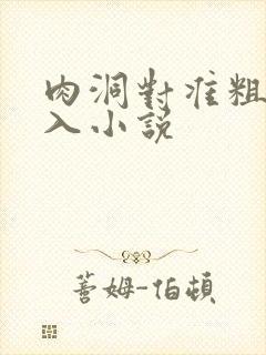 肉洞对准粗大坐入小说