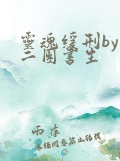 灵魂缓刑by 二团书生