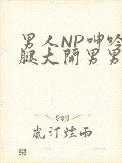 男人NP呻吟双腿大开男男小说