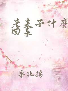 老夫子什么时候回来