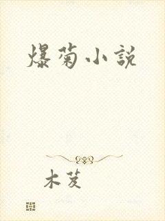 爆菊小说