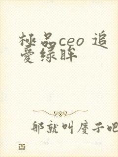极品ceo 追爱绿眸