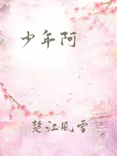 少年阿