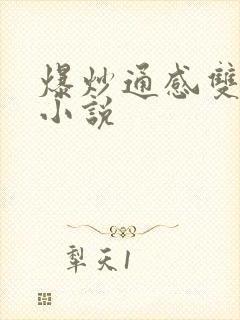 爆炒通感双胞胎小说