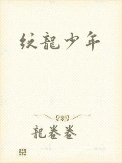 纹龙少年