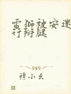 雷狮被安迷修强行掰腿