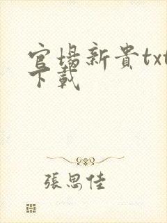 官场新贵txt下载