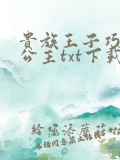 贵族王子巧遇穷公主txt下载