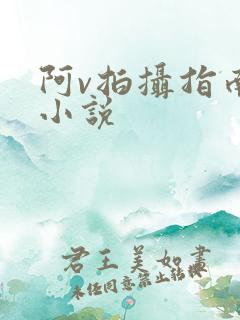 阿v拍摄指南说小说