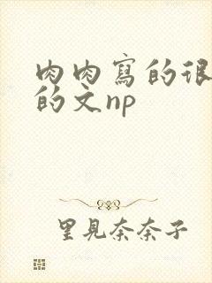 肉肉写的很细致的文np