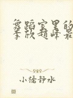 舞蹈室里的景色李欣赵峰最新章节