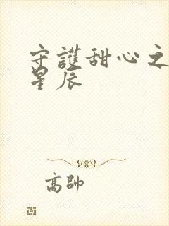 守护甜心之暗夜星辰