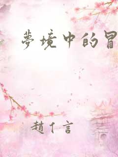 梦境中的冒险家