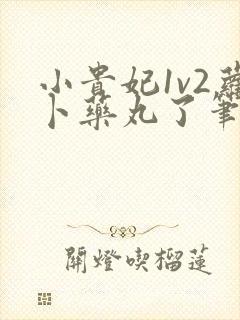 小贵妃1v2萝卜药丸了笔趣阁