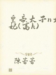 皇帝太子n太子妃(高h)