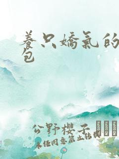 养只娇气的小哭包