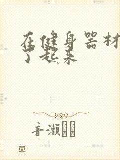 在健身器材上做了起来