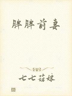 胖胖前妻