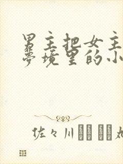 男主把女主拖进梦境里的小说