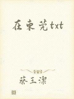 在东莞txt