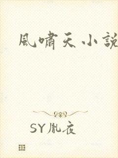 风啸天小说