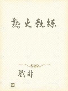 热火教练