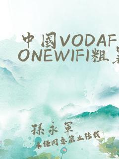 中国VODAFONEWIFI粗暴APP