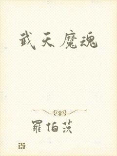 武天魔魂