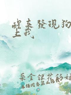 醒来发现狗狗在上我