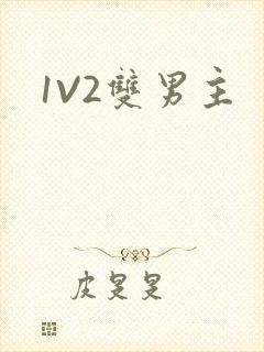 1V2双男主