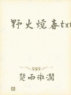 野火烧春txt