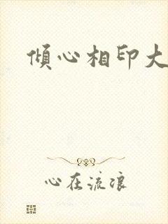 倾心相印大结局