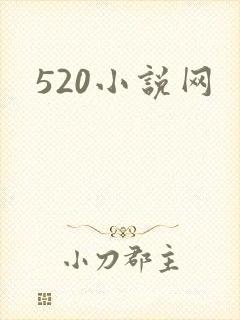 520小说网