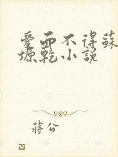 爱而不得苏路顾塬乾小说