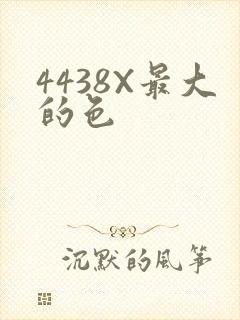 4438X最大的色