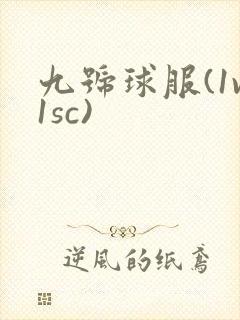 九号球服(1v1sc)