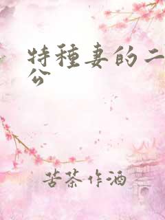 特种妻的二手老公