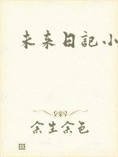 未来日记小说