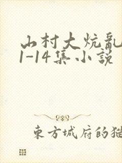 山村大炕乱肉续1-14集小说