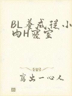 BL养成从小被肉H寝室