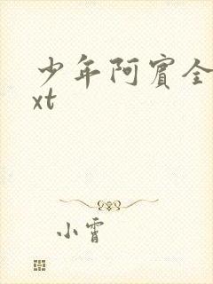 少年阿宾全集txt