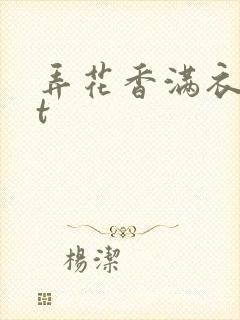 弄花香满衣txt