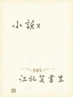 小说x