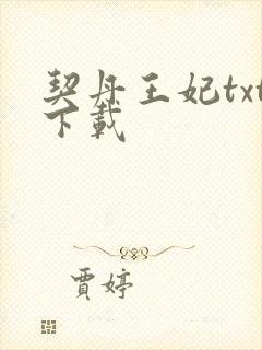 契丹王妃txt下载