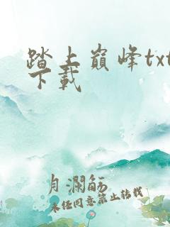 踏上巅峰txt下载