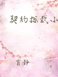 契约总裁小萌宝