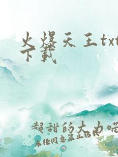 火爆天王txt下载