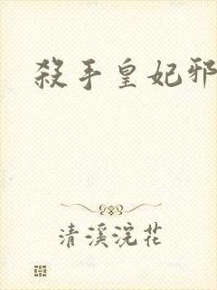 杀手皇妃邪魅帝