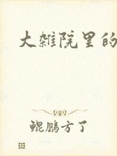 大杂院里的女人