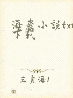 海岩小说txt下载